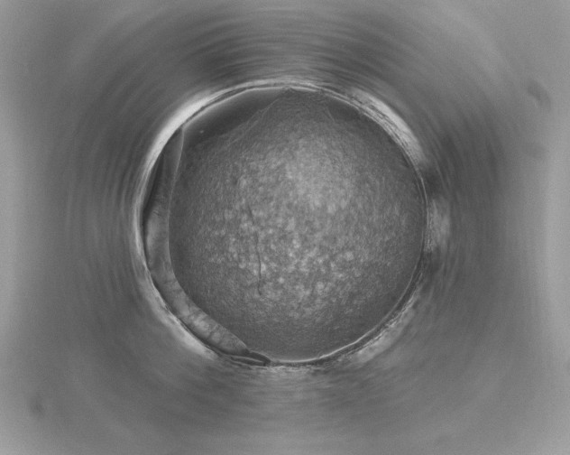 X0000116490812200912091419