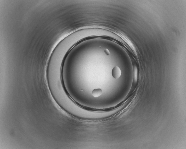 X0000116490813200912091419