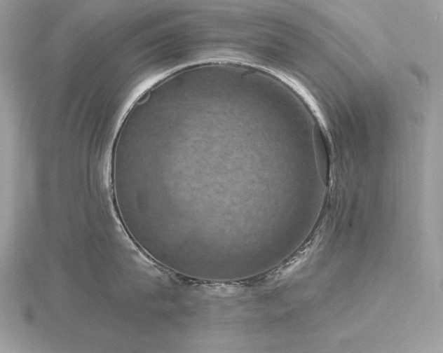 X0000116490815200912091419