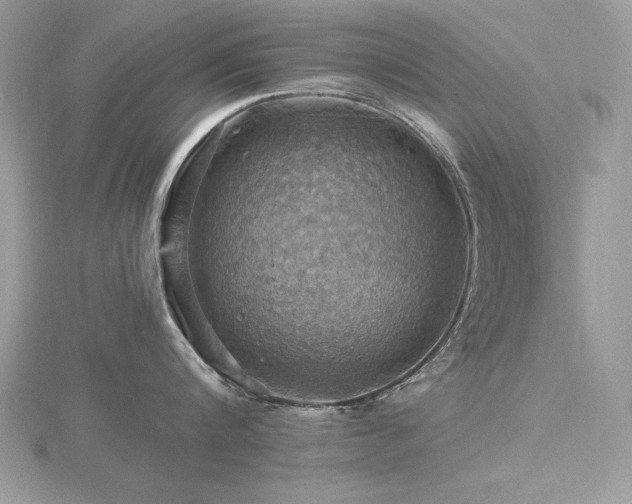 X0000116490816200912091419