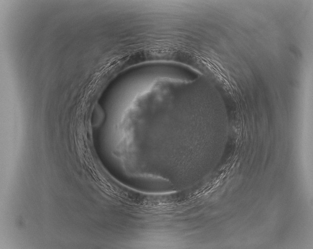 X0000116490817200912091419