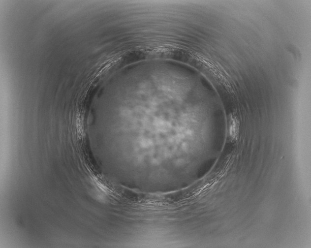 X0000116490819200912091419