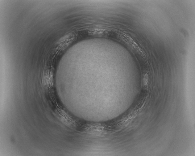 X0000116490820200912091419