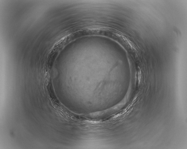 X0000116490821200912091419