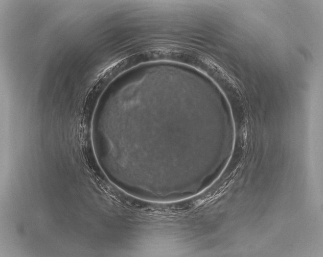 X0000116490822200912091419