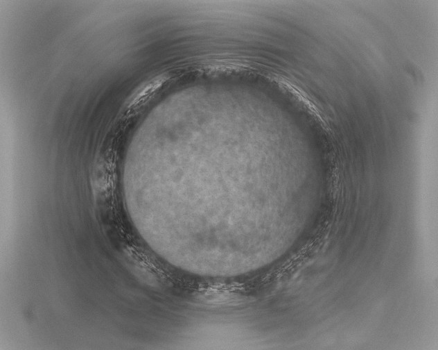 X0000116490824200912091419