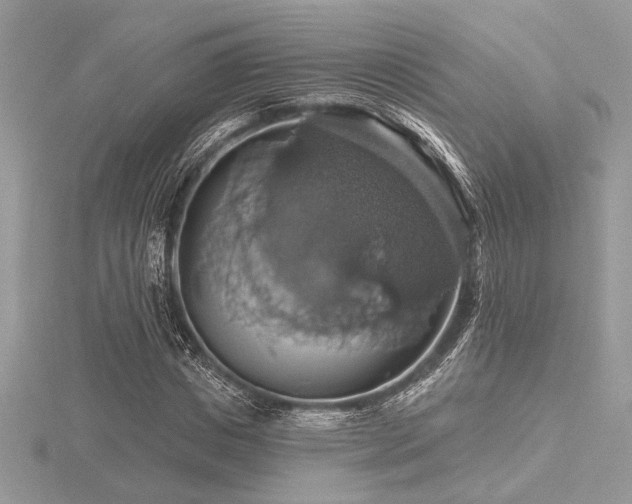 X0000116490825200912091419