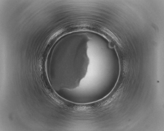 X0000116490826200912091419