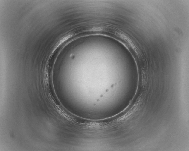 X0000116490827200912091419