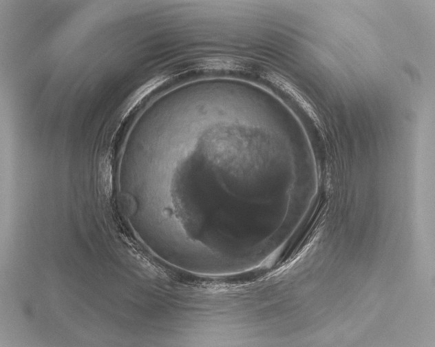 X0000116490829200912091419