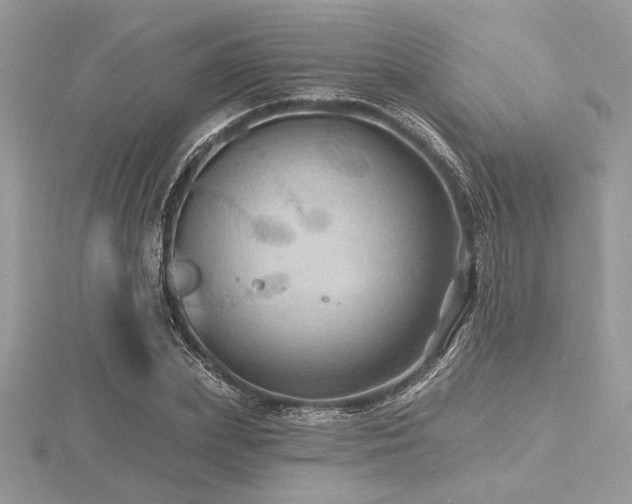 X0000116490831200912091419