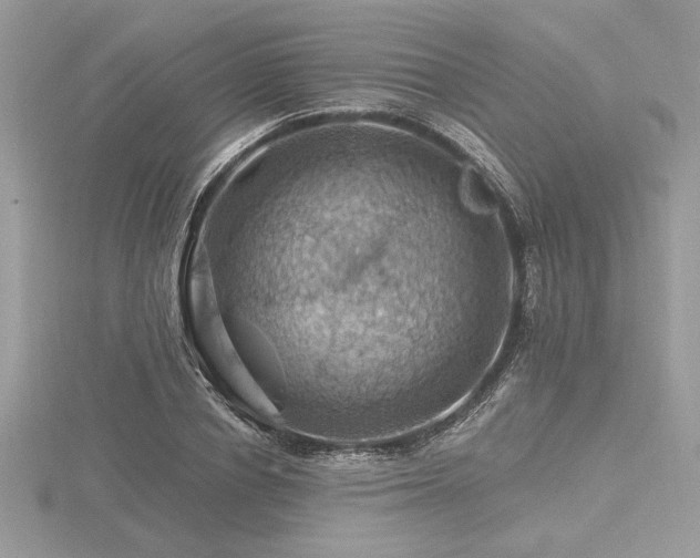 X0000116490834200912091419