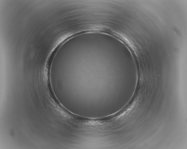 X0000116490835200912091419