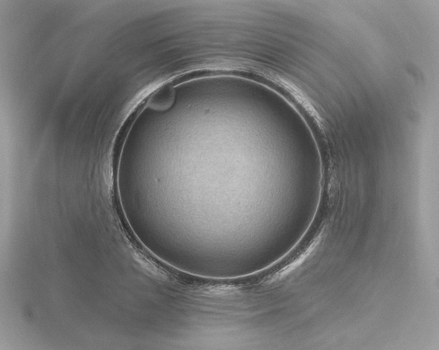 X0000116490837200912091419