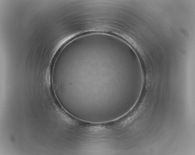 X0000116490838200912091419