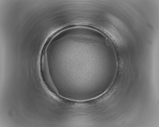 X0000116490840200912091419