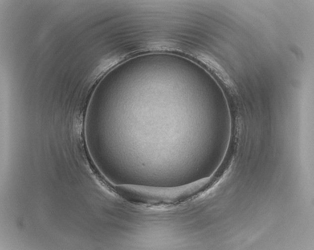 X0000116490841200912091419