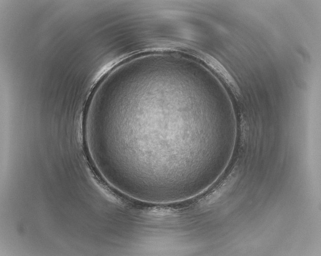 X0000116490842200912091419