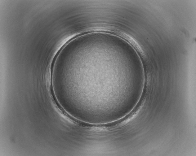 X0000116490844200912091419