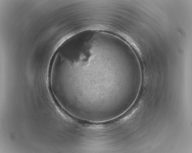 X0000116490845200912091419