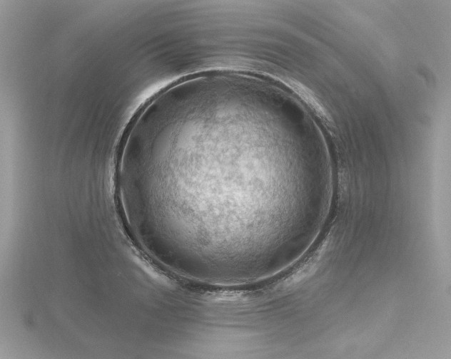 X0000116490846200912091419