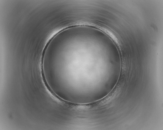 X0000116490847200912091419