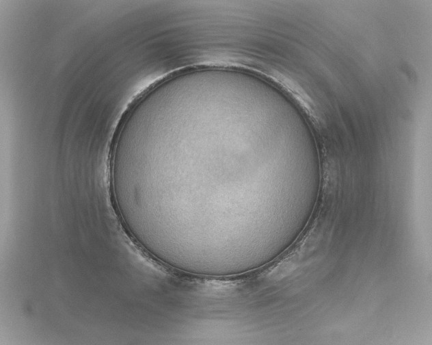 X0000116490848200912091419