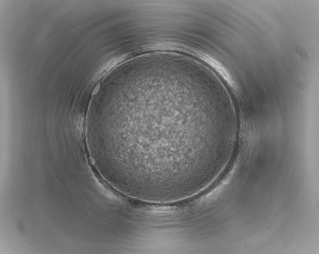 X0000116490849200912091419