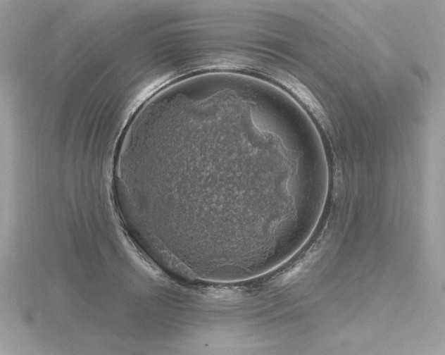 X0000116490850200912091419