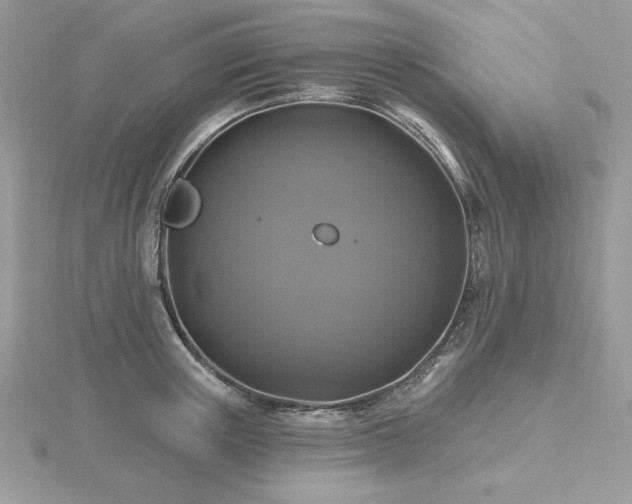 X0000116490851200912091419