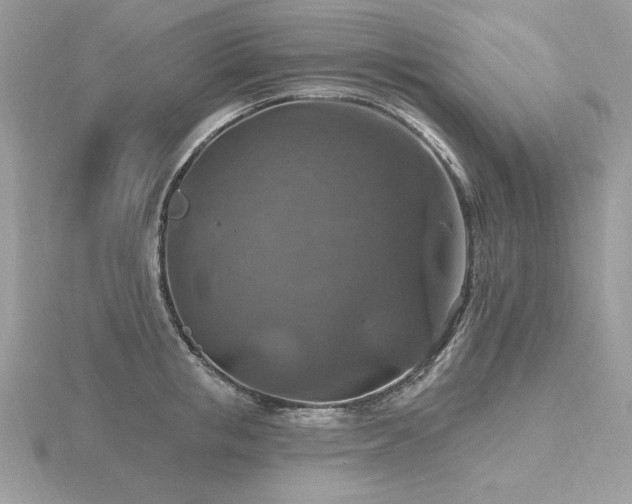 X0000116490853200912091419