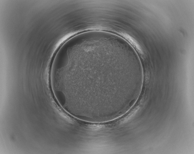 X0000116490854200912091419