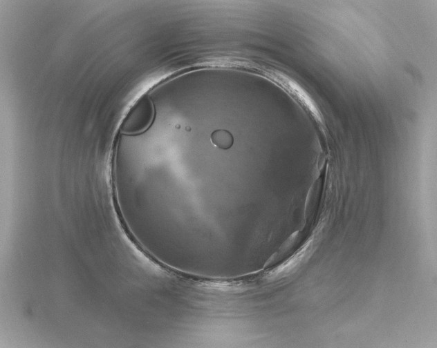 X0000116490855200912091419