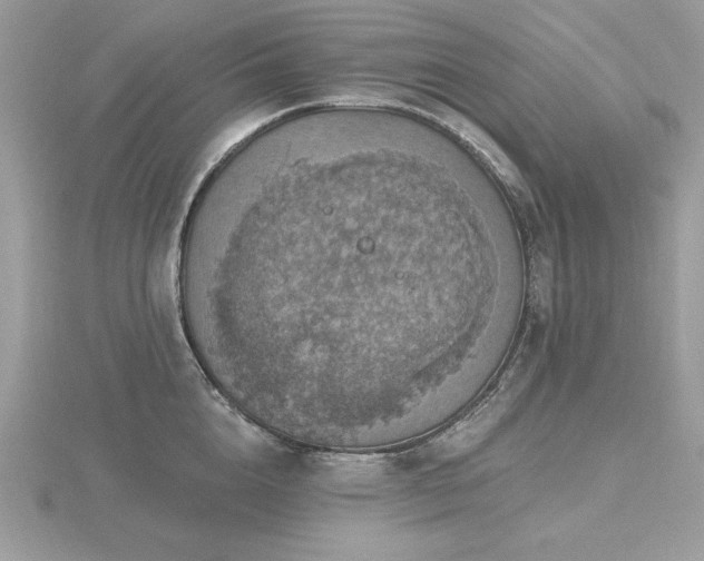 X0000116490856200912091419