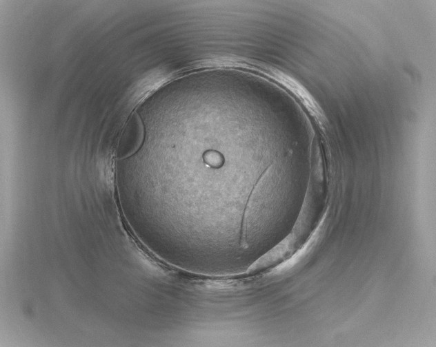 X0000116490857200912091419