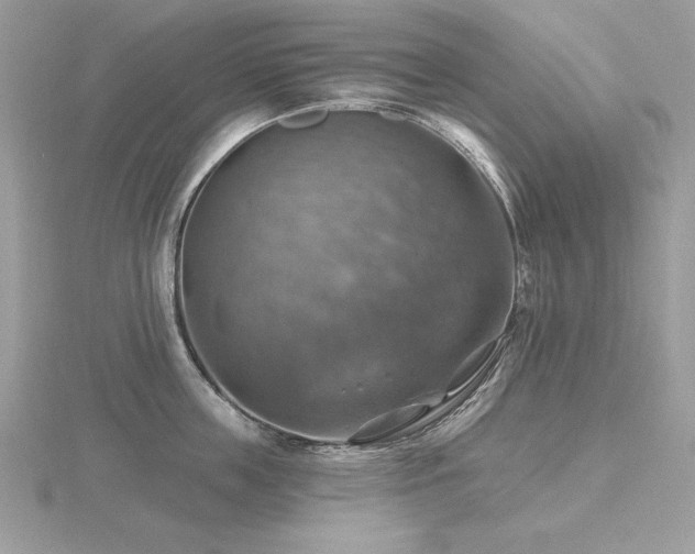 X0000116490859200912091419