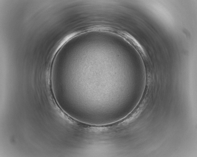 X0000116490860200912091419