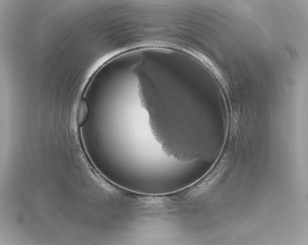 X0000116490862200912091419