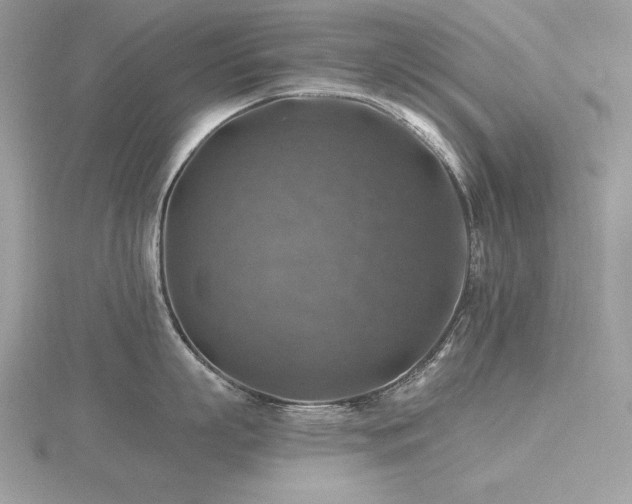 X0000116490863200912091419