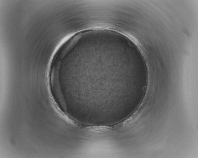 X0000116490864200912091419