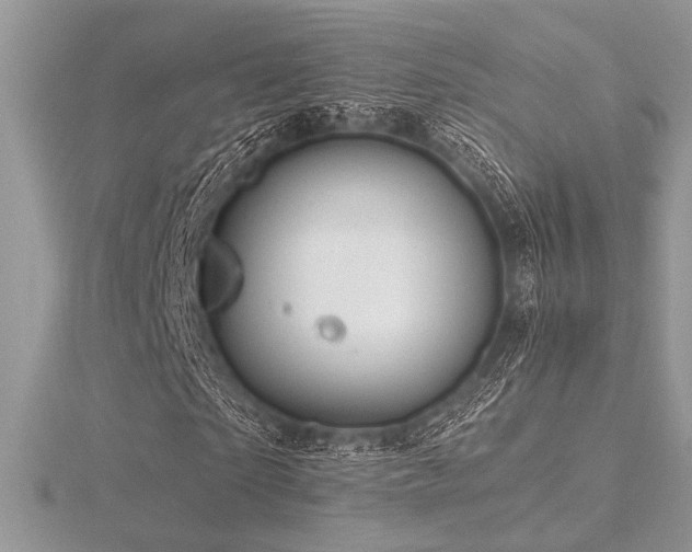 X0000116490865200912091418