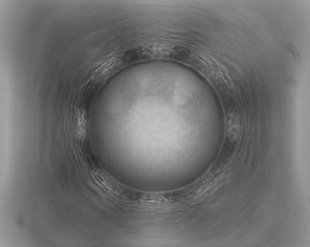 X0000116490866200912091418