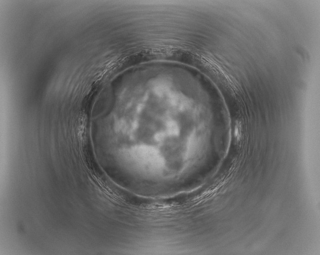 X0000116490867200912091418