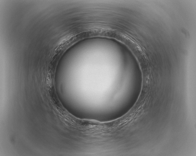 X0000116490869200912091418