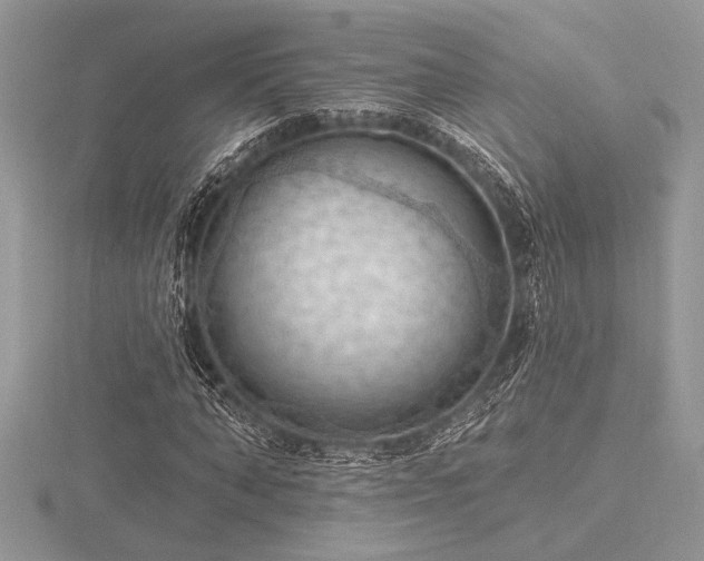 X0000116490870200912091418