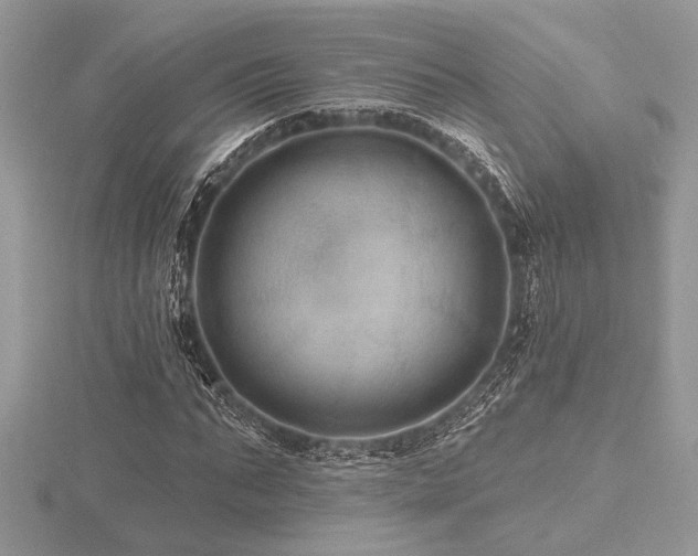 X0000116490871200912091418