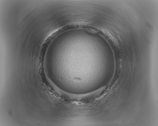 X0000116490872200912091418