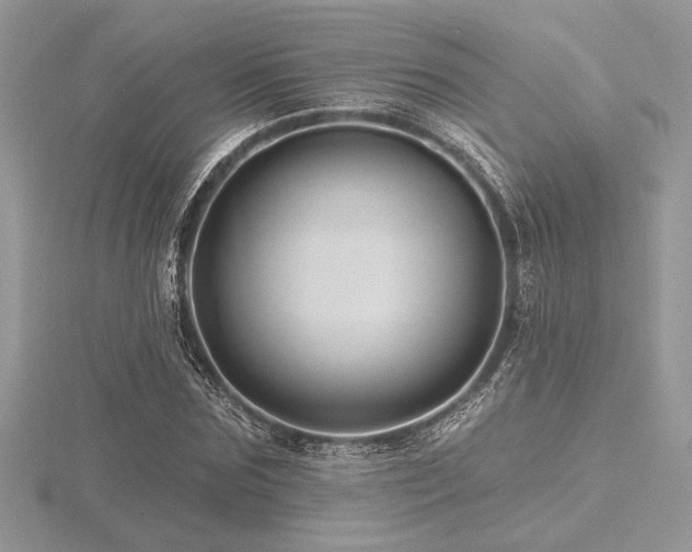 X0000116490875200912091418