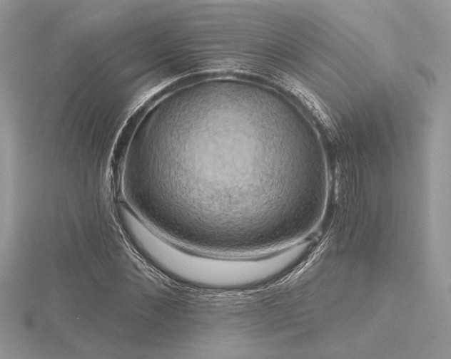 X0000116490876200912091418