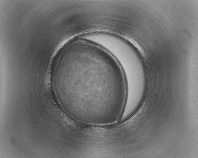 X0000116490878200912091418